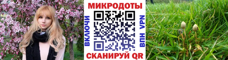 как найти наркотики Заозёрск Галлюциногенные грибы прущие грибы