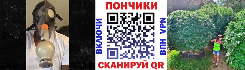 Бошки Шишки индика Заозёрск